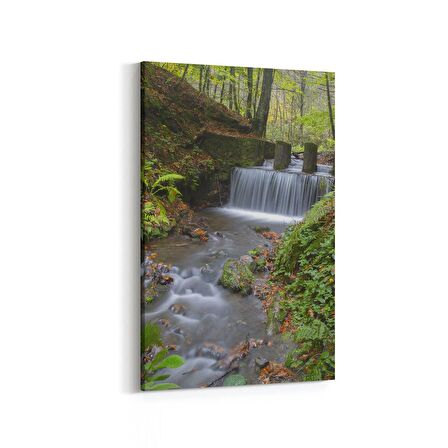 Olla 13919D Doğa / Manzara Görseli Dikey Kanvas Tablo (Ölçü: 100X150)