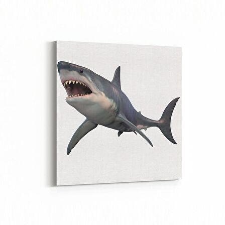 Olla 12611K Hayvanlar Alemi Görseli Kare Kanvas Tablo (Ölçü: 30X30)