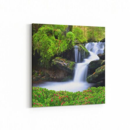 Olla 13775K Doğa / Manzara Görseli Kare Kanvas Tablo (Ölçü: 30X30)