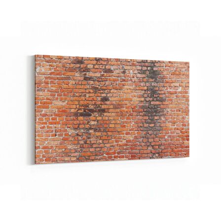 Olla 17519Y Taş / Tuğla Görseli Yatay Kanvas Tablo (Ölçü: 30X20)