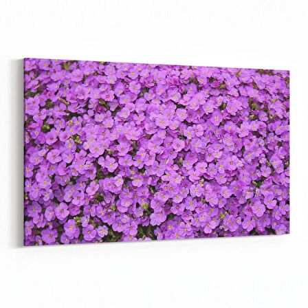 Olla 11587Y Çiçek Görseli Yatay Kanvas Tablo (Ölçü: 90X60)