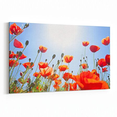 Olla 10578Y Ağaç Görseli Yatay Kanvas Tablo (Ölçü: 90X60)