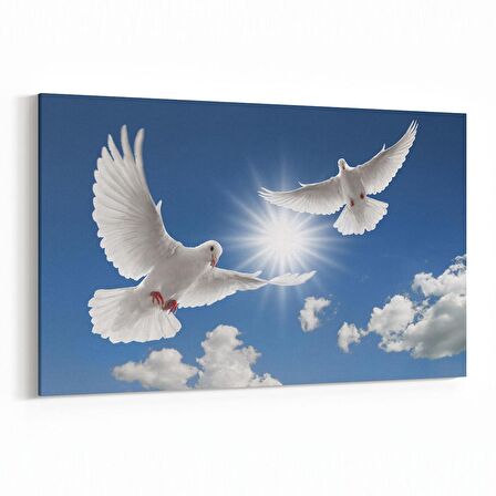 Olla 15847Y Gökyüzü Kuşlar Görseli Yatay Kanvas Tablo (Ölçü: 90X60)