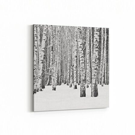 Olla 13317K Doğa / Manzara Görseli Kare Kanvas Tablo (Ölçü: 25X25)