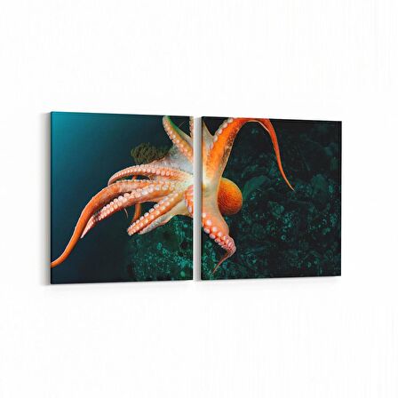 Olla 12963K2Y Deniz / Okyanus Görseli Kare 2'li Yatay Kanvas Tablo (Ölçü: 65X30)