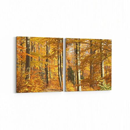 Olla 14576K2Y Doğa / Manzara Görseli Kare 2'li Yatay Kanvas Tablo (Ölçü: 145X70)