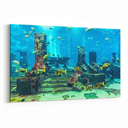 Olla 12114Y Akvaryum / Balık Görseli Yatay Kanvas Tablo (Ölçü: 70X50)