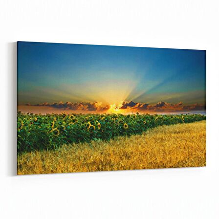 Olla 15978Y Günbatımı Görseli Yatay Kanvas Tablo (Ölçü: 70X50)