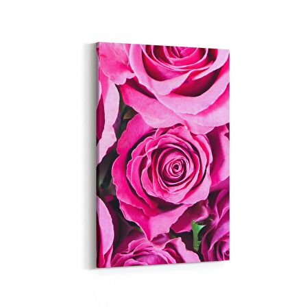 Olla 11567D Çiçek Görseli Dikey Kanvas Tablo (Ölçü: 20X30)