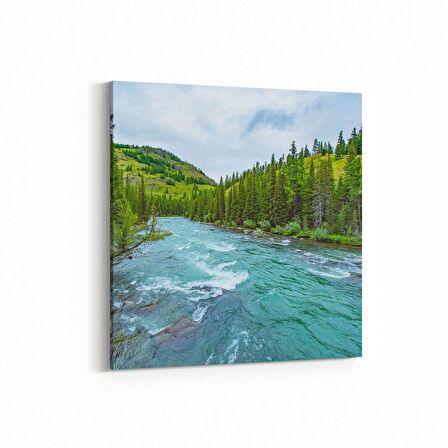 Olla 13482K Doğa / Manzara Görseli Kare Kanvas Tablo (Ölçü: 25X25)