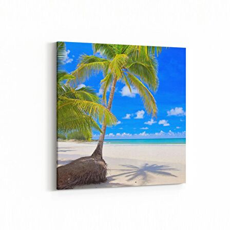 Olla 16496K Kumsal / Sahil Görseli Kare Kanvas Tablo (Ölçü: 30X30)