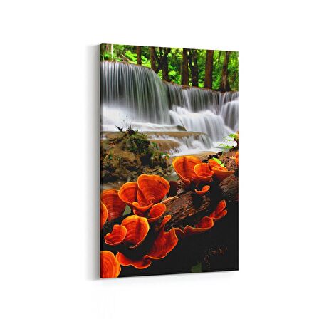 Olla 14367D Doğa / Manzara Görseli Dikey Kanvas Tablo (Ölçü: 100X150)