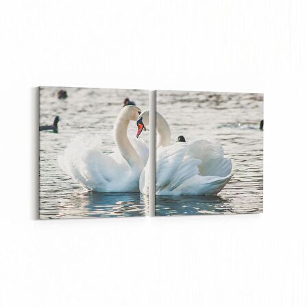 Olla 12633K2Y Hayvanlar Alemi Görseli Kare 2'li Yatay Kanvas Tablo (Ölçü: 65X30)