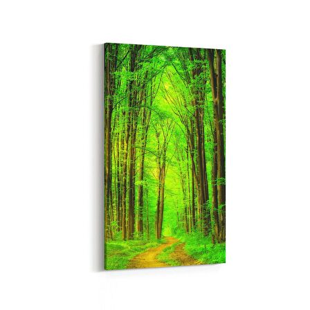 Olla 14469DD Doğa / Manzara Görseli Dikey Dar Kanvas Tablo (Ölçü: 60X120)
