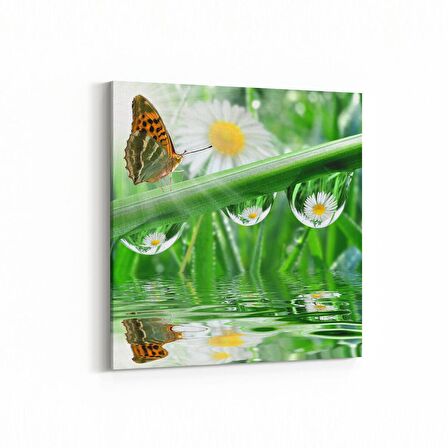 Olla 11757K Orkide Çiçek Görseli Kare Kanvas Tablo (Ölçü: 25X25)