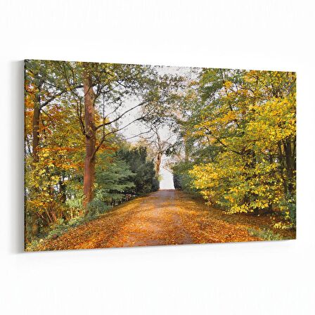 Olla 13273Y Doğa / Manzara Görseli Yatay Kanvas Tablo (Ölçü: 30X20)