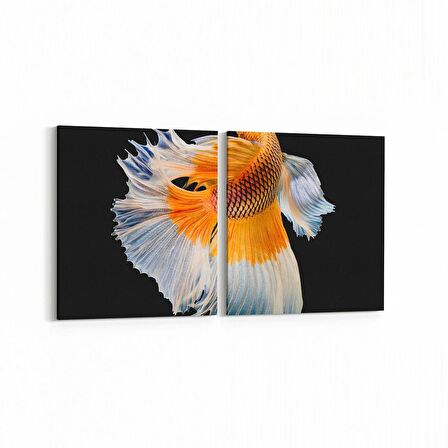 Olla 12616K2Y Hayvanlar Alemi Görseli Kare 2'li Yatay Kanvas Tablo (Ölçü: 85X40)