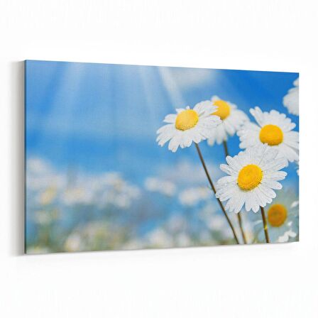 Olla 10728Y Ağaç Görseli Yatay Kanvas Tablo (Ölçü: 70X50)