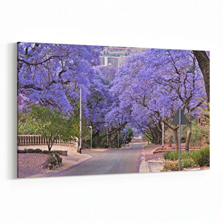 Olla 14312Y Doğa / Manzara Görseli Yatay Kanvas Tablo (Ölçü: 30X20)