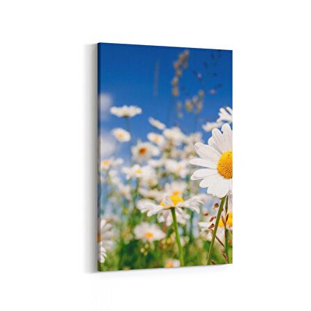 Olla 13544D Doğa / Manzara Görseli Dikey Kanvas Tablo (Ölçü: 100X150)