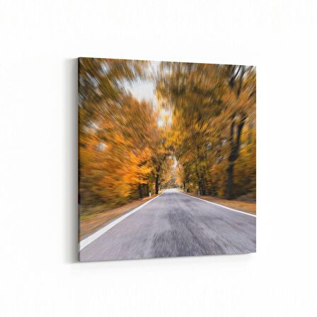 Olla 13306K Doğa / Manzara Görseli Kare Kanvas Tablo (Ölçü: 60X60)