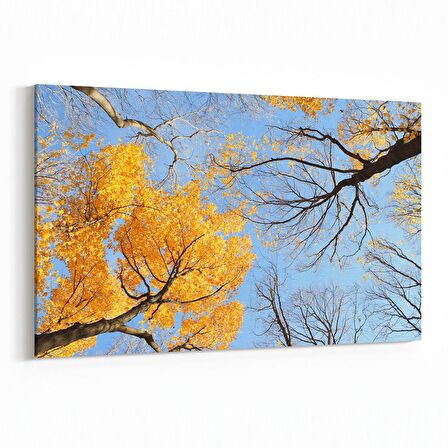 Olla 10978Y Ağaç Görseli Yatay Kanvas Tablo (Ölçü: 70X50)