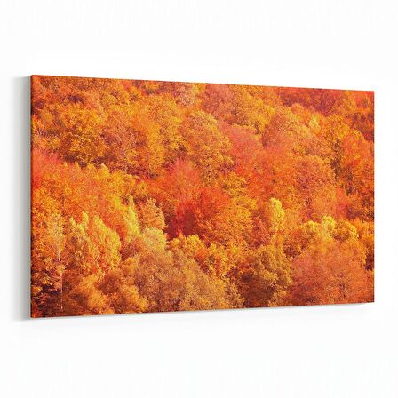 Olla 14303Y Doğa / Manzara Görseli Yatay Kanvas Tablo (Ölçü: 45X30)