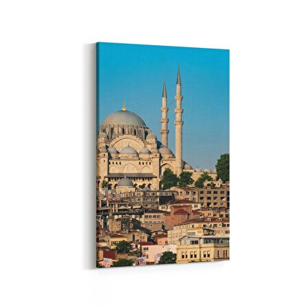 Olla 18015D Yapı Görseli Dikey Kanvas Tablo (Ölçü: 60X90)