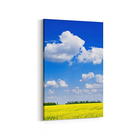 Olla 14514D Doğa / Manzara Görseli Dikey Kanvas Tablo (Ölçü: 100X150)