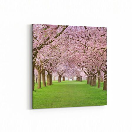 Olla 14054K Doğa / Manzara Görseli Kare Kanvas Tablo (Ölçü: 25X25)