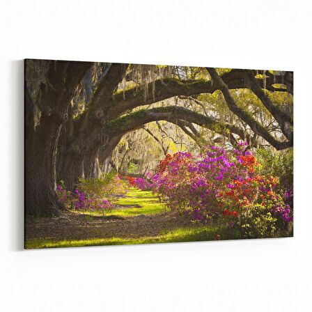 Olla 14629Y Doğa / Manzara Görseli Yatay Kanvas Tablo (Ölçü: 150X100)