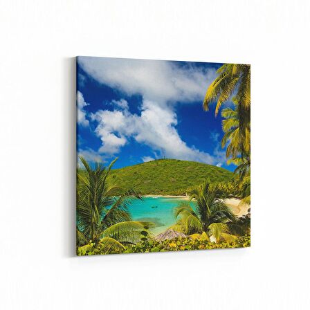 Olla 13681K Doğa / Manzara Görseli Kare Kanvas Tablo (Ölçü: 30X30)