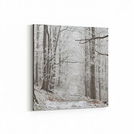 Olla 14451K Doğa / Manzara Görseli Kare Kanvas Tablo (Ölçü: 25X25)
