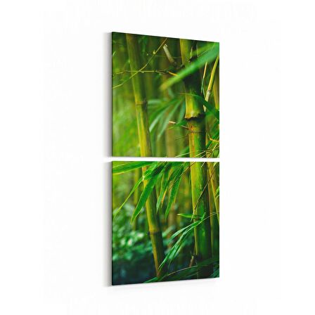 Olla 14617K2D Doğa / Manzara Görseli Kare 2'li Dikey Kanvas Tablo (Ölçü: 30X65)
