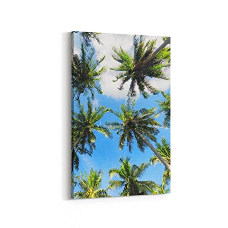 Olla 11506D Palmiye Ağacı Görseli Dikey Kanvas Tablo (Ölçü: 20X30)