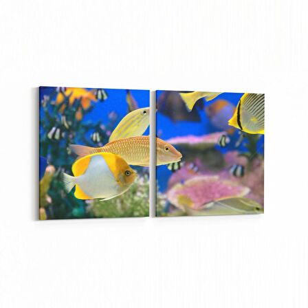 Olla 12055K2Y Akvaryum / Balık Görseli Kare 2'li Yatay Kanvas Tablo (Ölçü: 125X60)