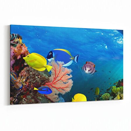 Olla 12136Y Akvaryum / Balık Görseli Yatay Kanvas Tablo (Ölçü: 45X30)