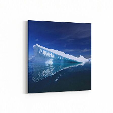 Olla 13875K Doğa / Manzara Görseli Kare Kanvas Tablo (Ölçü: 60X60)