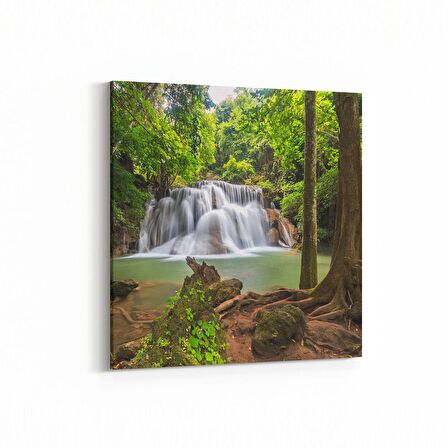 Olla 13852K Doğa / Manzara Görseli Kare Kanvas Tablo (Ölçü: 25X25)