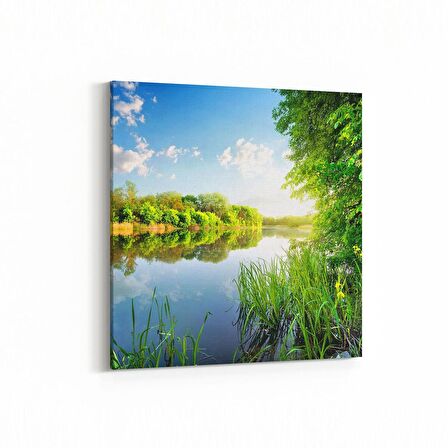 Olla 13844K Doğa / Manzara Görseli Kare Kanvas Tablo (Ölçü: 25X25)
