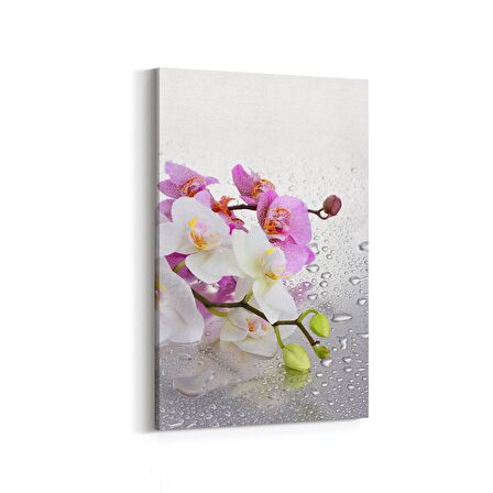 Olla 11664D Orkide Çiçek Görseli Dikey Kanvas Tablo (Ölçü: 100X150)