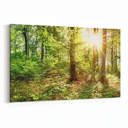 Olla 13312Y Doğa / Manzara Görseli Yatay Kanvas Tablo (Ölçü: 150X100)