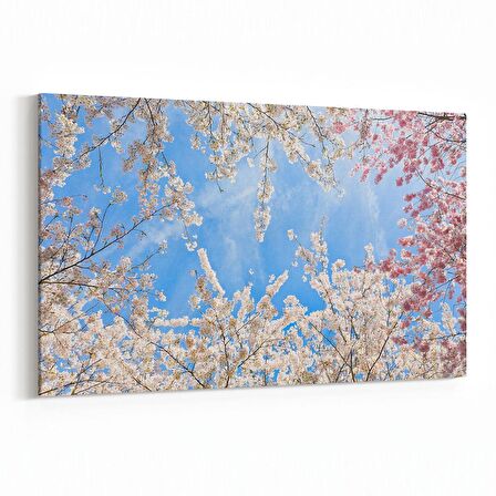 Olla 11010Y Ağaç Görseli Yatay Kanvas Tablo (Ölçü: 90X60)