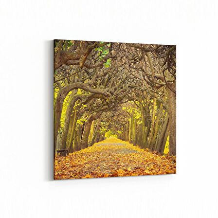 Olla 13366K Doğa / Manzara Görseli Kare Kanvas Tablo (Ölçü: 25X25)