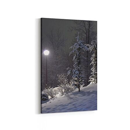 Olla 14217D Doğa / Manzara Görseli Dikey Kanvas Tablo (Ölçü: 40X60)
