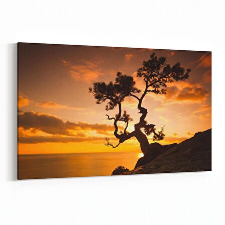 Olla 16135Y Günbatımı Görseli Yatay Kanvas Tablo (Ölçü: 90X60)