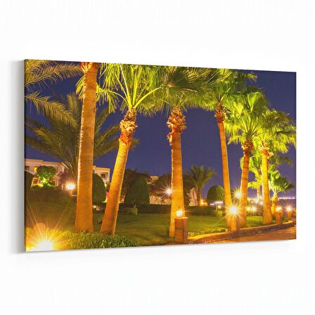 Olla 13671Y Doğa / Manzara Görseli Yatay Kanvas Tablo (Ölçü: 90X60)