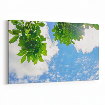 Olla 10891Y Ağaç Görseli Yatay Kanvas Tablo (Ölçü: 30X20)