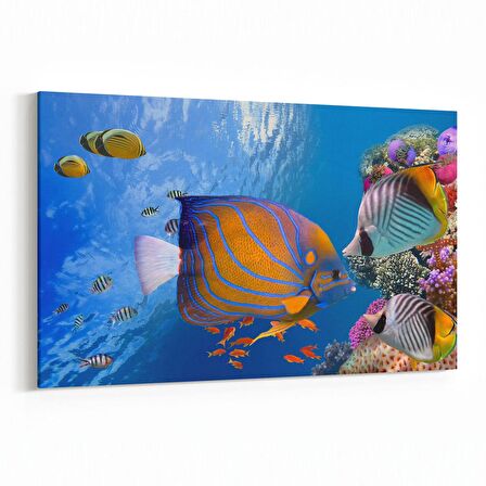 Olla 12153Y Akvaryum / Balık Görseli Yatay Kanvas Tablo (Ölçü: 70X50)