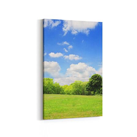 Olla 14590D Doğa / Manzara Görseli Dikey Kanvas Tablo (Ölçü: 20X30)